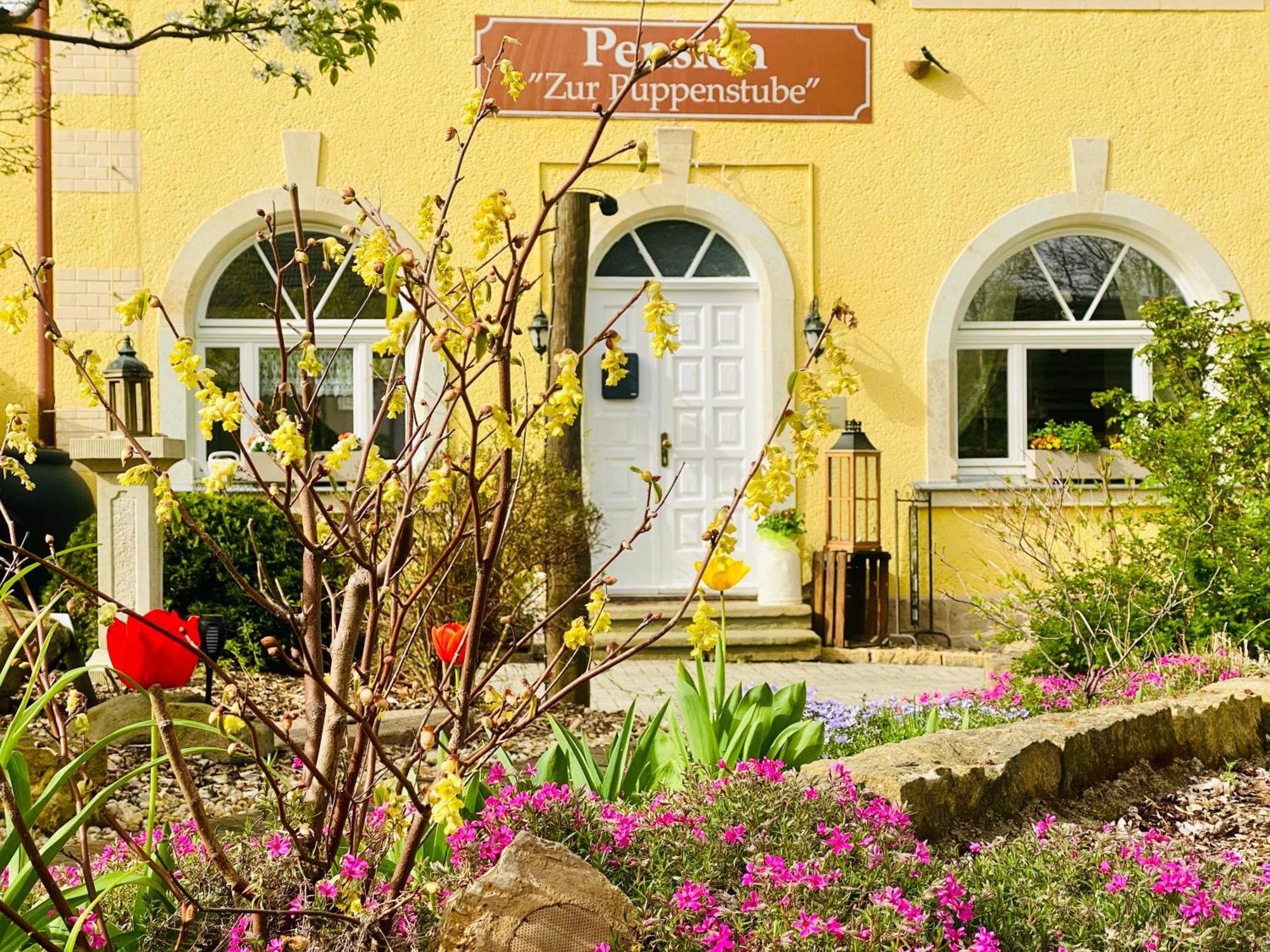Restaurant Und Pension Zur Puppenstube Stolpen Ngoại thất bức ảnh